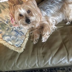 Meet your Posher, Diane